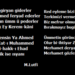 M. Luffi efe kıyamet destanı -3-